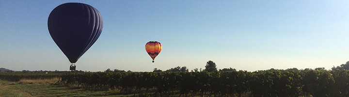 vendanges 2015