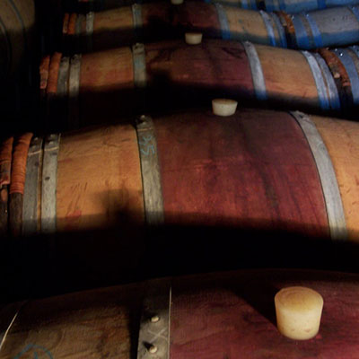 Vinification au Château Haut-Mongeat vins bio